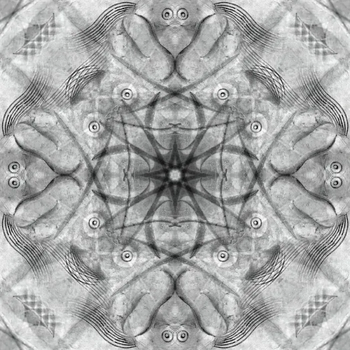 Framed Print : Black and white of kaleidoscope abstract Framed Print : Black and white of kaleidoscope abstract