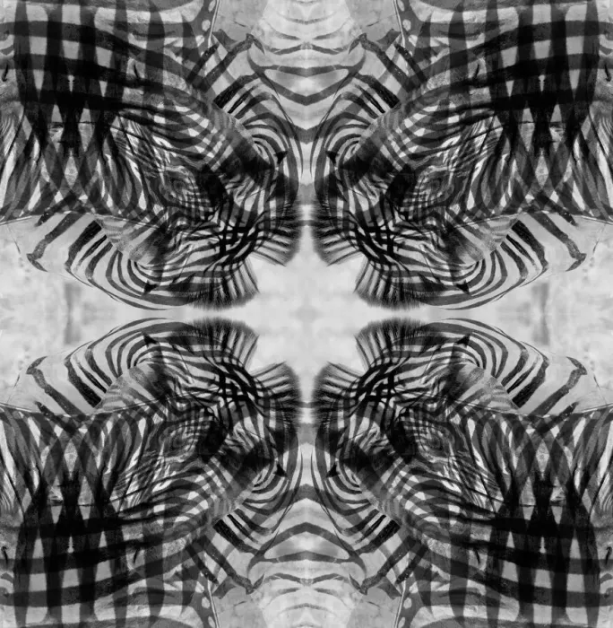 Framed Print : Black and white kaleidoscope abstract of a zebra Framed Print : Black and white kaleidoscope abstract of a zebra
