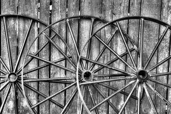 Black and white photo of wooden fence and old wagon wheels, Middleton Place Plantation