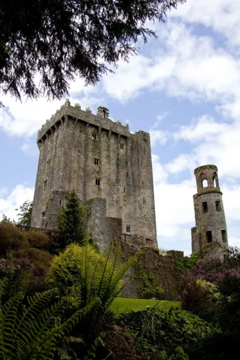 Framed Print : The Blarney Castle framed by colored textured plants under a blue sky with white Framed Print : The Blarney Castle framed by colored textured plants under a blue sky with white