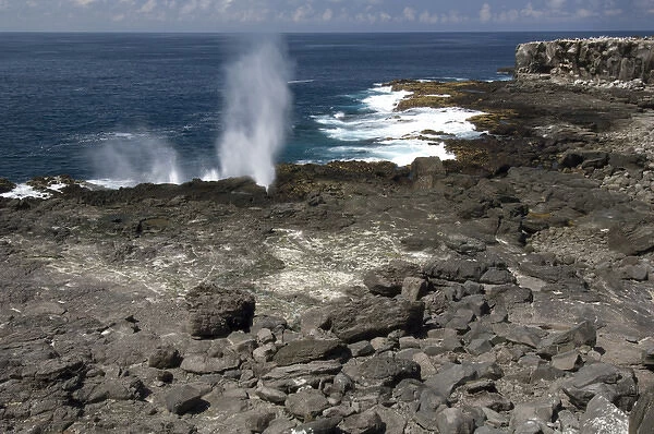 The Blow Hole along the shoreline of Espanola, Galapagos National Park