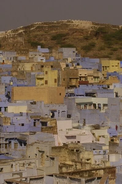 Blue City Jodhpur. Rajasthan, INDIA