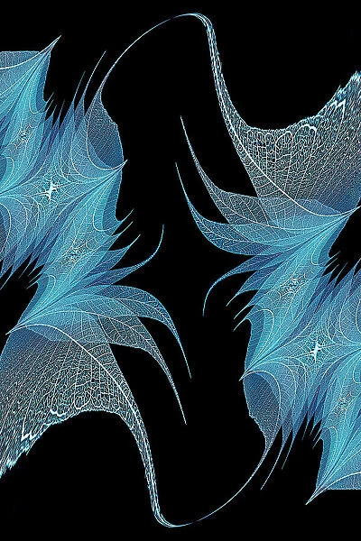 Blue colored skeleton leaves arranged on black background