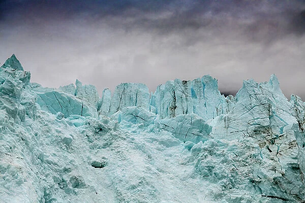 Blue ice characterizes the face of Margerie Glacier