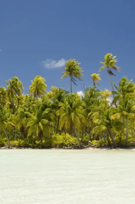 Framed Print : Blue Lagoon, Rangiroa, Tuamotu Archipelago, French Polynesia Framed Print : Blue Lagoon, Rangiroa, Tuamotu Archipelago, French Polynesia