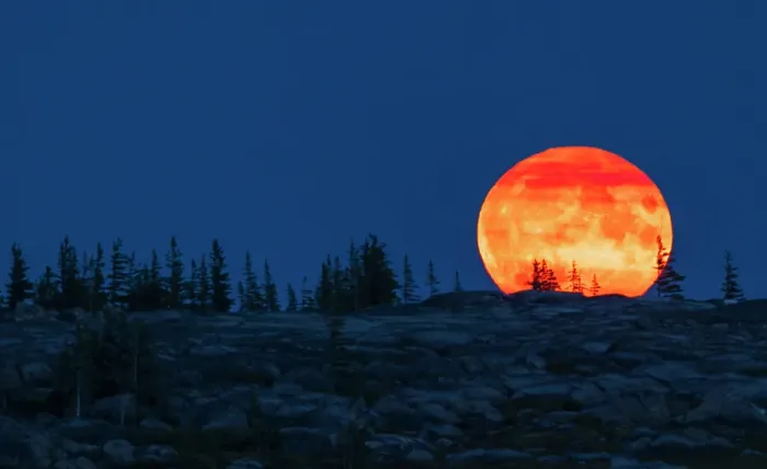 Framed Print : Blue moon rising over the arctic tundra