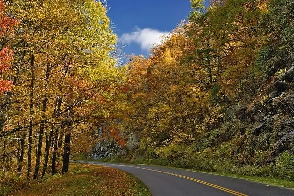 Blue Ridge Parkway curving through autumn colors near Grandfather Mountain, North