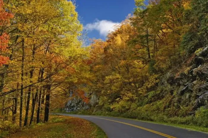 Framed Print : Blue Ridge Parkway curving through autumn colors near Grandfather Mountain, North Framed Print : Blue Ridge Parkway curving through autumn colors near Grandfather Mountain, North