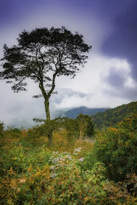 Framed Print : Blue Ridge Parkway, Smoky Mountains, USA