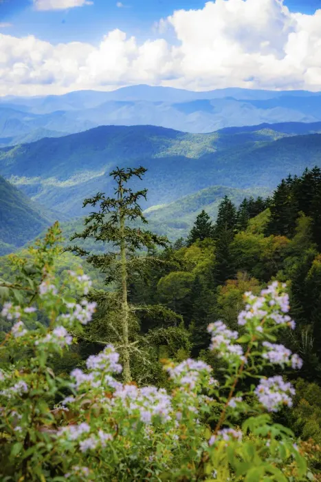 Framed Print : Blue Ridge Parkway vista, Smoky Mountains, USA Framed Print : Blue Ridge Parkway vista, Smoky Mountains, USA