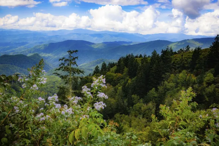 Framed Print : Blue Ridge Parkway vista, Smoky Mountains, USA Framed Print : Blue Ridge Parkway vista, Smoky Mountains, USA