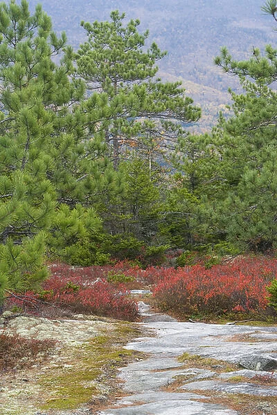 Blueberry Mountain Trail in New Hampshire USA