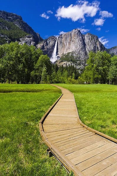 Boardwalk through meadow under Yosemite Falls, Yosemite National Park, California USA