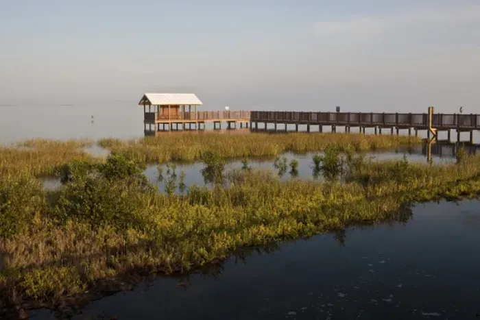 Framed Print : Boardwalk at South Padre Island Birding and Nature Center, South Padre Island, Texasd