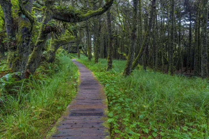Framed Print : Boardwalk on the Wild Pacific Trail in Pacific Rim National Park Reserve near Tofino