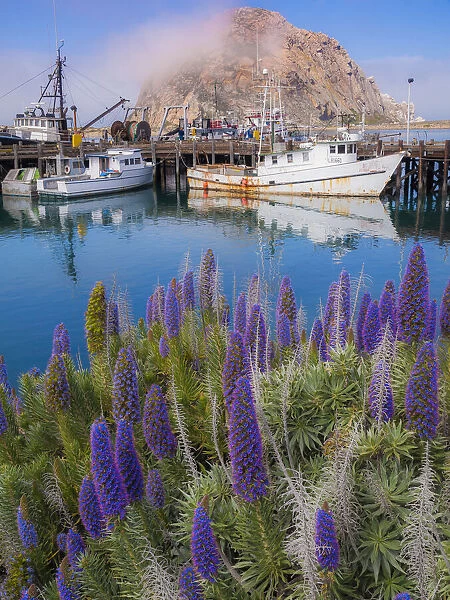 Boat Docks on Morro Bay, California, USA