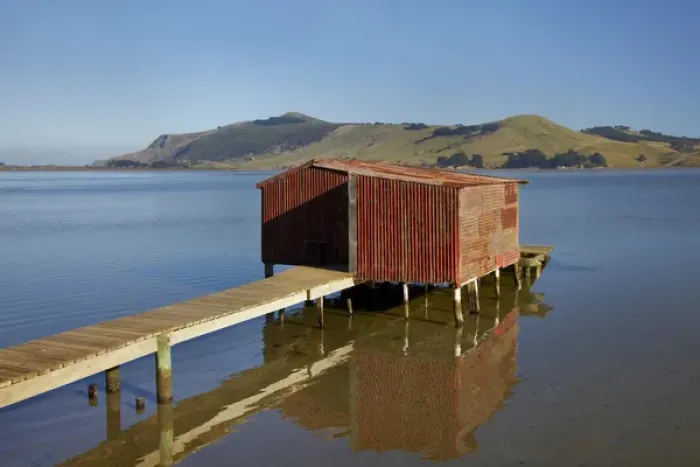 Framed Print : Boat Shed, Hoopers Inlet, Otago Peninsula, Dunedin, South Island, New Zealand