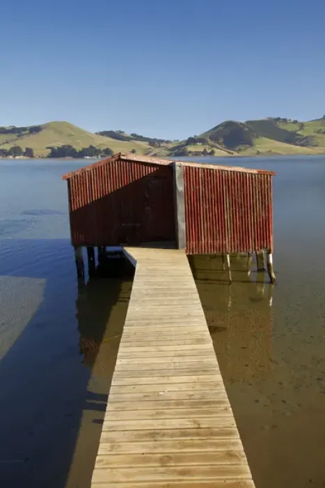 Framed Print : Boat Shed, Hoopers Inlet, Otago Peninsula, Dunedin, South Island, New Zealand Framed Print : Boat Shed, Hoopers Inlet, Otago Peninsula, Dunedin, South Island, New Zealand