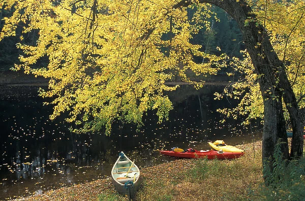 Boats under a silver maple on the banks of the Contoocook River in Contoocook, NH