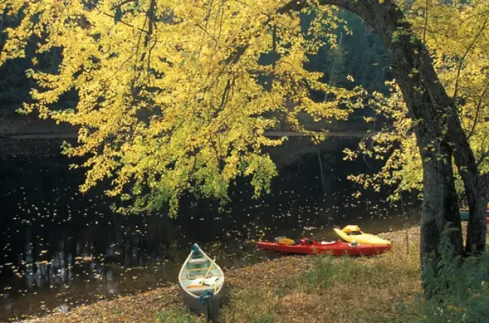 Framed Print : Boats under a silver maple on the banks of the Contoocook River in Contoocook, NH