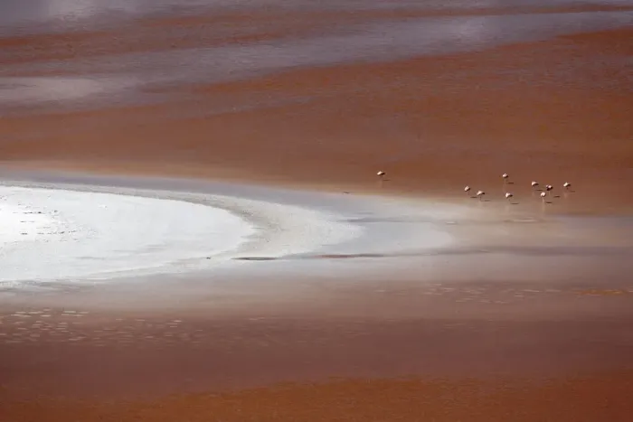 Framed Print : Bolivia, Atacama Desert, Laguna Colorada, Red Lake. The red lake is shallow Framed Print : Bolivia, Atacama Desert, Laguna Colorada, Red Lake. The red lake is shallow