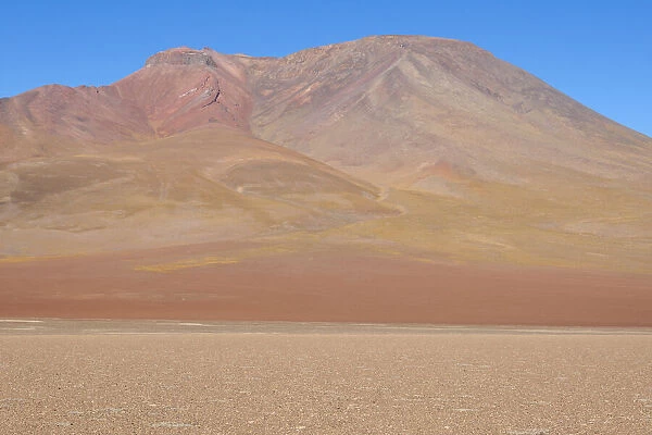 Bolivia, Atacama Desert. Yellow grasses add color to the red mountain in the desert