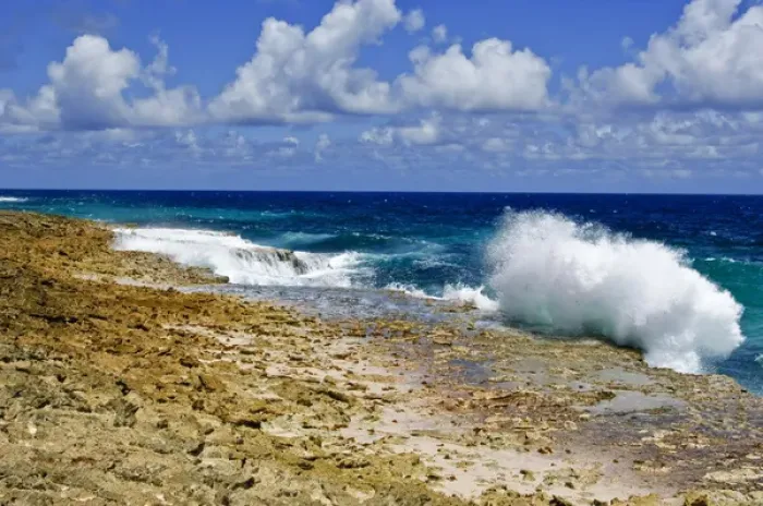 Framed Print : Bonaire. Playa Chikitu Beach