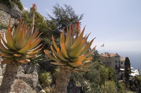 Botanic garden, Eze-Village, Cote d Azur, France
