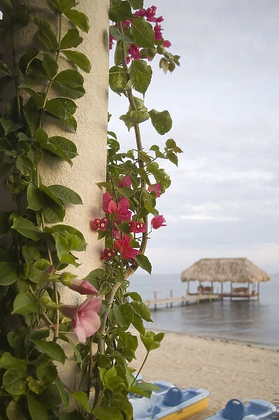 Bougainvilla vine on pillar, and pier with thatched palapa jutting into Caribbean Sea