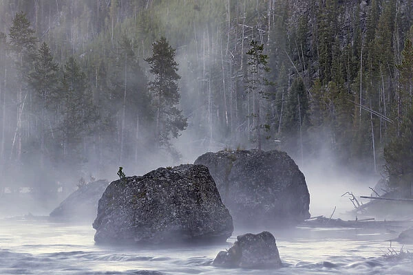 Boulders in early morning mist, Gibbon River, Yellowstone National Park, Wyoming