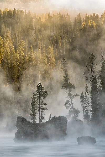 Boulders and trees in steaming Yellowstone River at sunrise, Yellowstone National Park