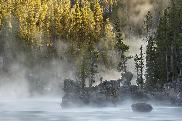 Boulders and trees in steaming Yellowstone River at sunrise, Yellowstone National Park
