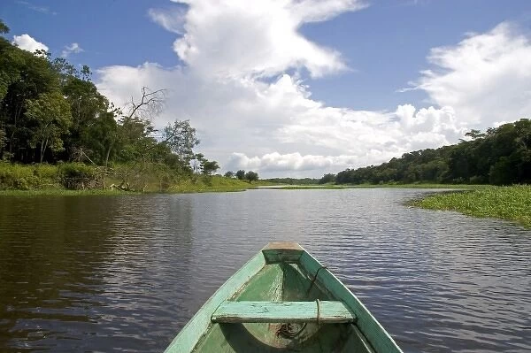 The bow of a dugout canoe on the Arasa River in the Amazon jungle near Manaus, Brazil