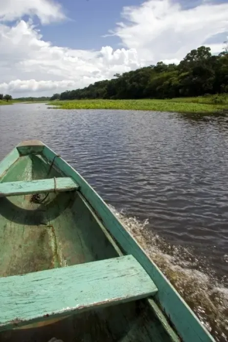 Framed Print : The bow of a dugout canoe on the Arasa River in the Amazon jungle near Manaus, Brazil Framed Print : The bow of a dugout canoe on the Arasa River in the Amazon jungle near Manaus, Brazil