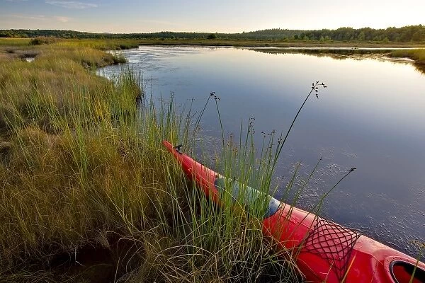The bow of a kayak in a marshy area of Northeast Creek on Mount Desert Island near Bar Harbor
