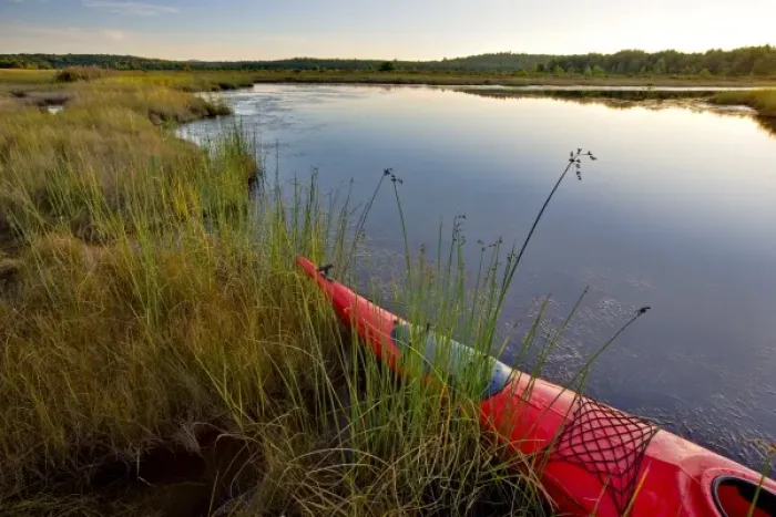 Framed Print : The bow of a kayak in a marshy area of Northeast Creek on Mount Desert Island near Bar Harbor Framed Print : The bow of a kayak in a marshy area of Northeast Creek on Mount Desert Island near Bar Harbor