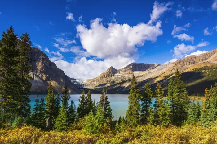 Framed Print : Bow Lake and the Bow Glacier, Banff National Park, Alberta, Canada
