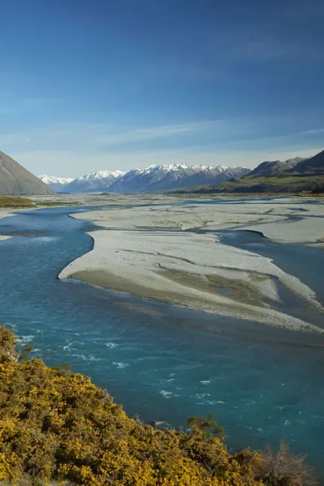 Framed Print : Braided streams of the Rakaia River, and gorse in flower, Mid Canterbury, South Island Framed Print : Braided streams of the Rakaia River, and gorse in flower, Mid Canterbury, South Island