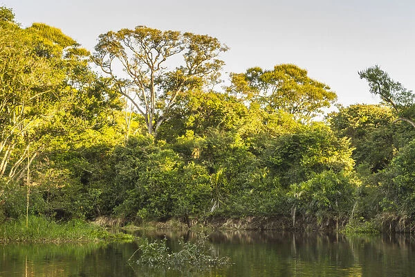 Brazil, Pantanal. Cuiaba River landscape. Credit as: Cathy & Gordon Illg  /  Jaynes Gallery