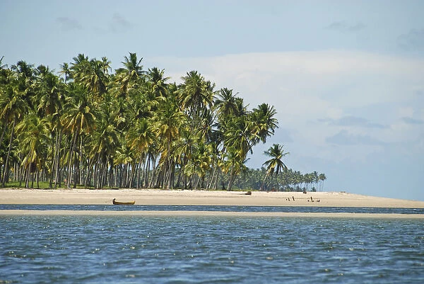 Brazil, Pernambuco, Praia dos Carneiros, white sand beach with palm trees