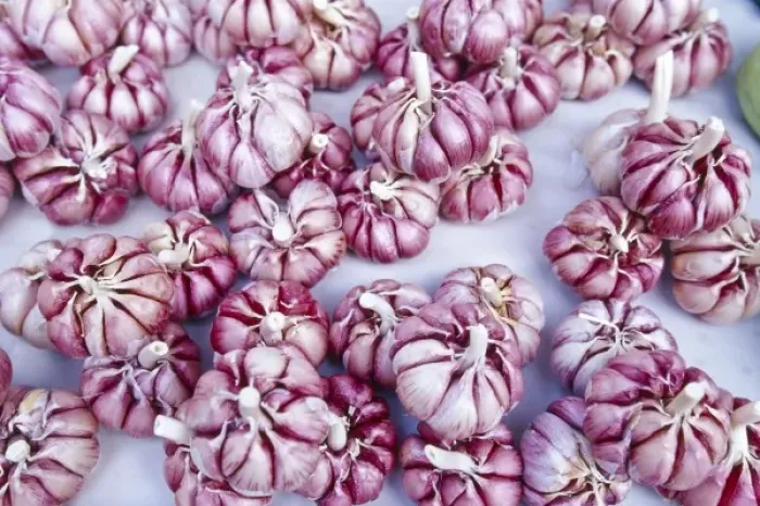 Framed Print : Brazil, Rio de Janeiro, garlic for sale at market, near Ipanema Beach Framed Print : Brazil, Rio de Janeiro, garlic for sale at market, near Ipanema Beach