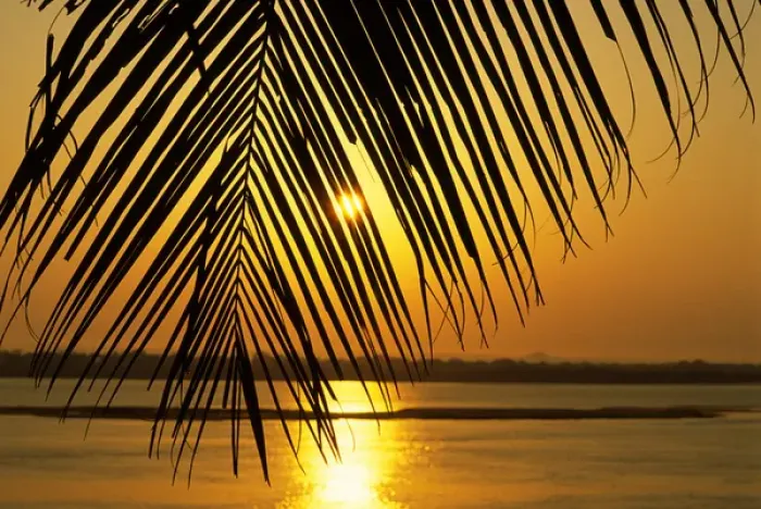 Framed Print : Brazil. Sunset; sky and water painted orange; palm leaf in the foreground Framed Print : Brazil. Sunset; sky and water painted orange; palm leaf in the foreground