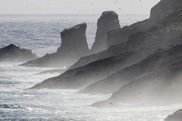 Breakers and spray, the cliffs of Mykinesholmur