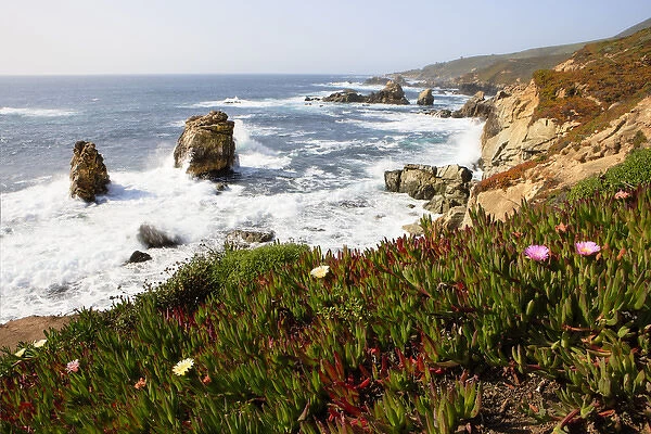 Breaking waves and flowers. Garrapata State Park. View towards North. Entrance #7