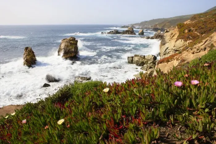 Framed Print : Breaking waves and flowers. Garrapata State Park. View towards North. Entrance #7 Framed Print : Breaking waves and flowers. Garrapata State Park. View towards North. Entrance #7