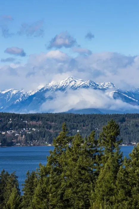 Framed Print : Bremerton, Washington State. Mount Constance looms over the Puget Sound