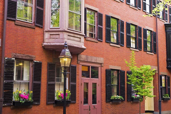 Brick houses and gas street lamp on Beacon Hill, Boston, Massachusetts USA
