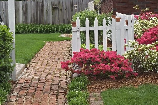 Brick sidewalk, picket fence, and azaleas, Audubon Park neighborhood, Louisville