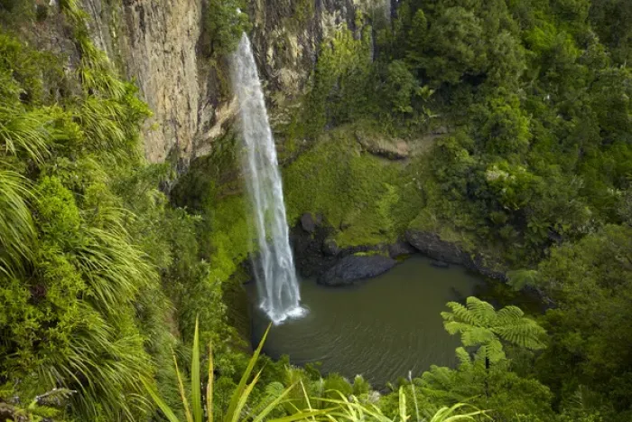 Framed Print : Bridal Veil Falls, near Raglan, Waikato, North Island, New Zealand Framed Print : Bridal Veil Falls, near Raglan, Waikato, North Island, New Zealand