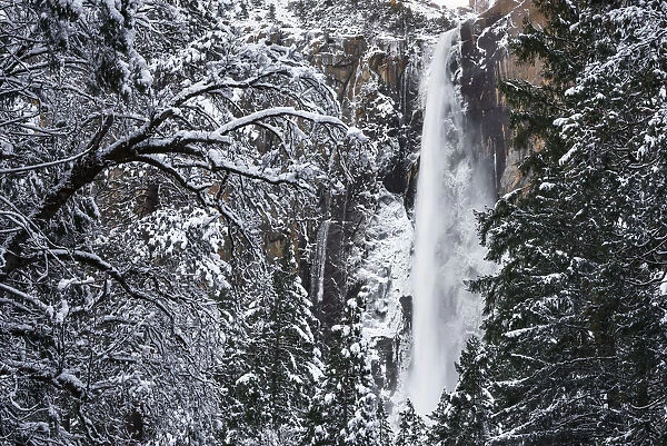 Bridalveil Fall in winter, Yosemite Valley, Yosemite National Park, California, USA